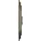 Ekena Millwork Felix Ceiling Medallion, Hand-Painted Painted Turtle, 25 1/4"W x 17 1/4"H x 1 3/4"P CM25FEPTF - alternate 2